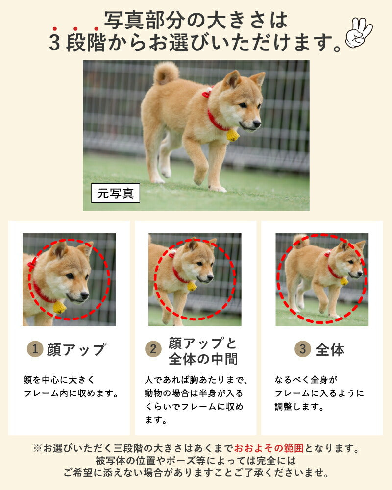 【化粧箱入り】 写真入り ビールジョッキ サーモス 名入れ プレゼント 真空断熱 保温 保冷 ステンレス 名前入り ペット うちの子 写真 犬 猫 ジョッキ グッズ プリント 印刷 ビアグラス おしゃれ ビールグラス 化粧箱入り 720ml 青緑 紫 JDK-721C 単品 ビアジョッキ PSYN-18
